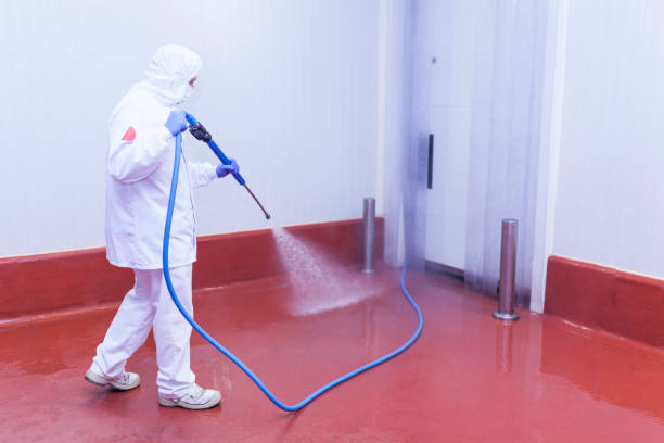Best Restaurant Pressure Washing  in Cedar Hill, TX