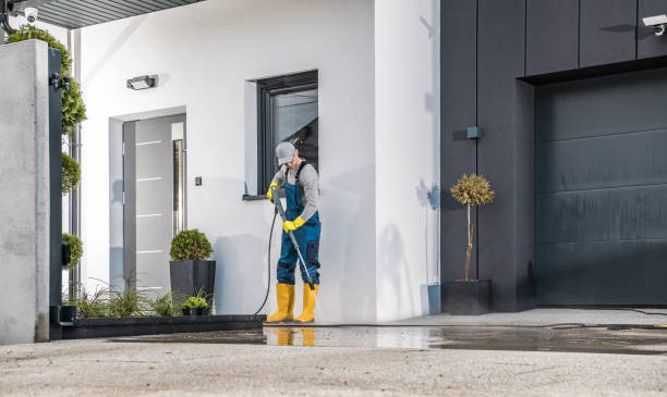 Best Roof Washing  in Cedar Hill, TX